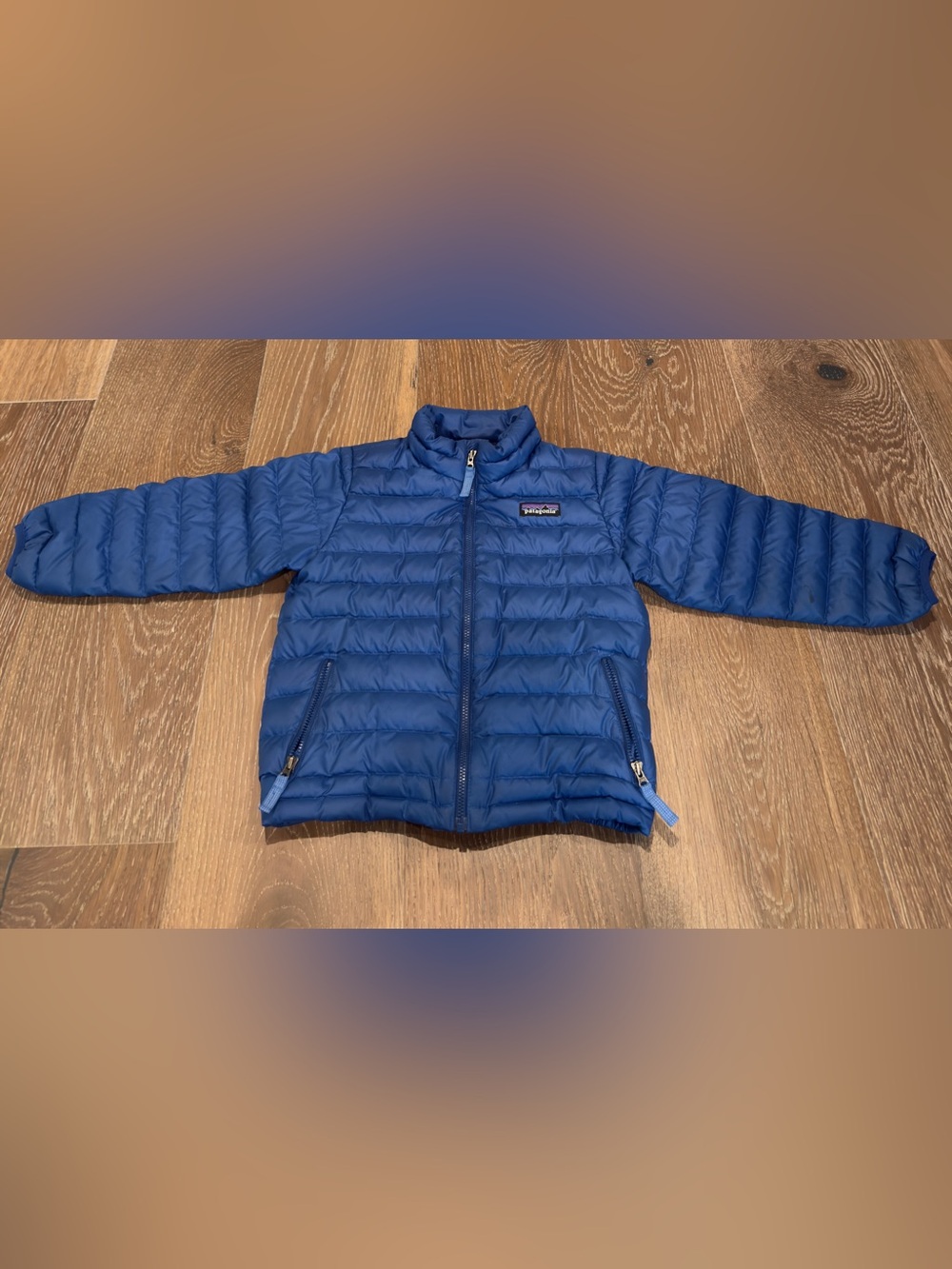 Patagonia Toddler Down Sweater Jacket Superior Blue 4T